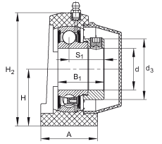 直立式軸承座單元 PSHE35-TV-FA125.5, 塑料軸承座,帶偏心鎖圈的外球面球軸承,帶 Corrotect? 涂層,P型密封 直立式軸承座單元 PSHE35-TV-FA125.5, 塑料軸承座,帶偏心鎖圈的外球面球軸承,帶 Corrotect? 涂層,P型密封